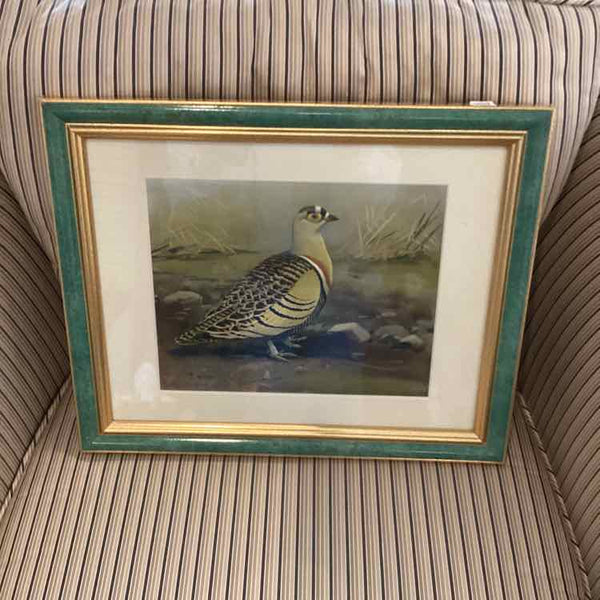Green Framed Print Of Grouse