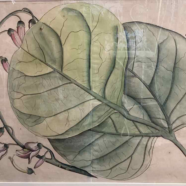 Plaso Floral Framed Print