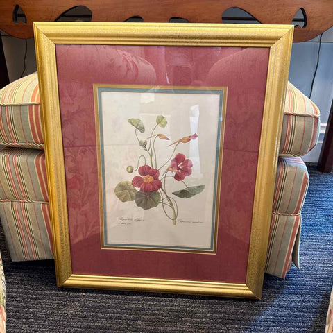 Botanical Print