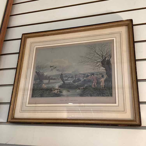 Engraving Of Wild Duck