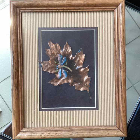 Framed Copper Oak Leaf & Dragonfly