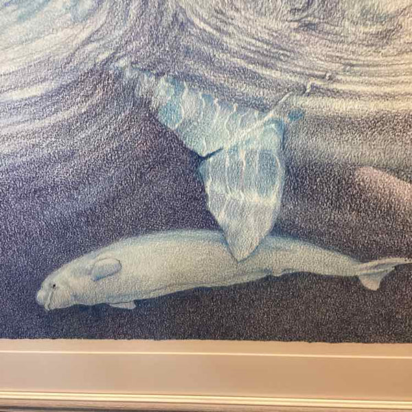 Framed Polar Bear Print