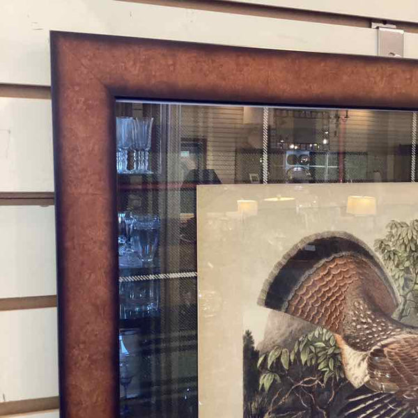 Framed Book Plate Print of Pheasant