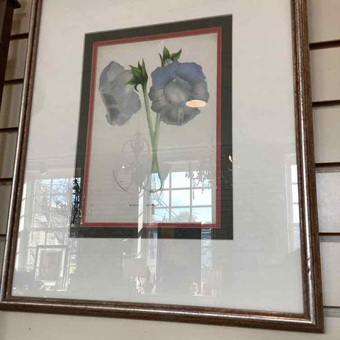 Framed Botanical