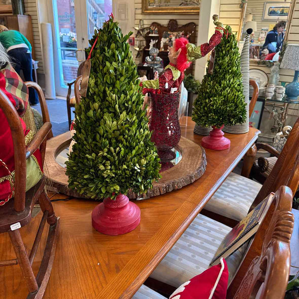 Boxwood Christmas Tree