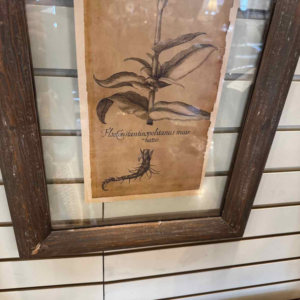 Pair Of Framed Floral Prints