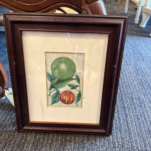 Framed Botanical