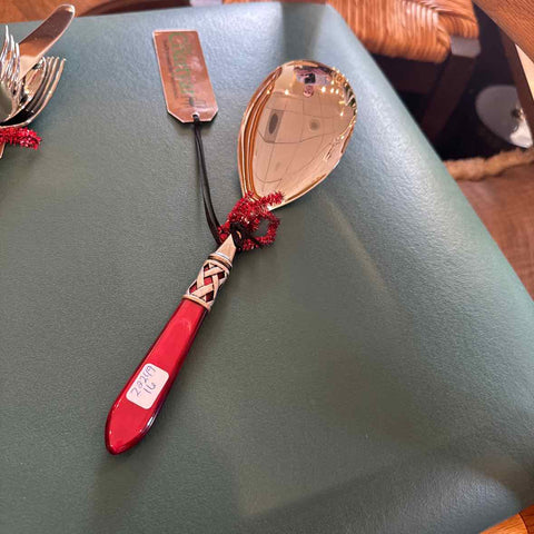 Virtri Aladdin Red Serving Spoon